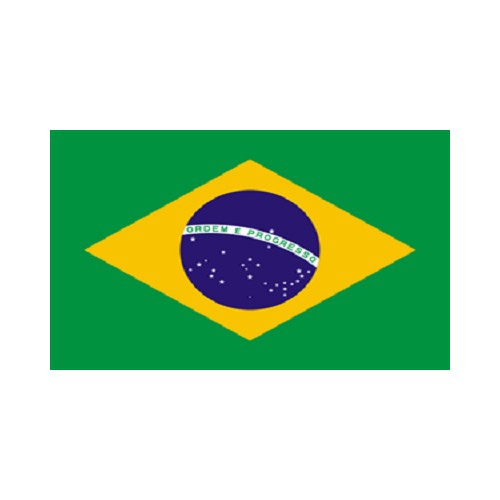 Brasilien Fahne (L6)