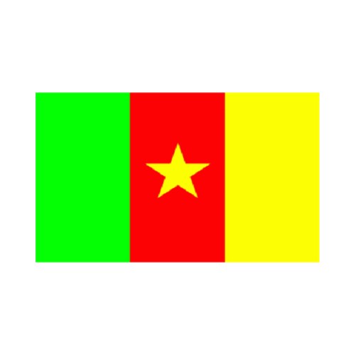 Kamerun Fahne (L30)